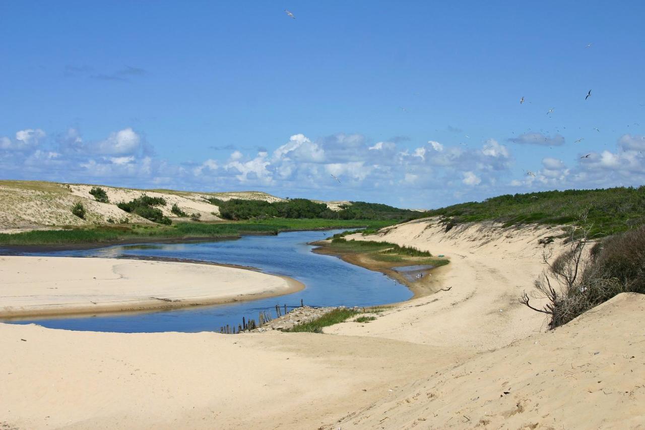 Le Hameau Des Vagues 4-5 Pers Piscines Et Nature A Moliets Dış mekan fotoğraf